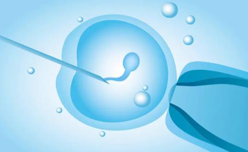 试管移植后马上排尿吗?试管婴儿胚胎移植后小便怎么办?